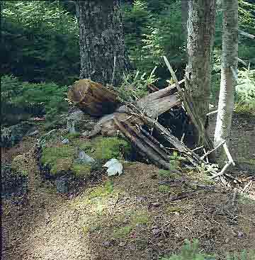 Northern Maine Seasonal Sheltar?