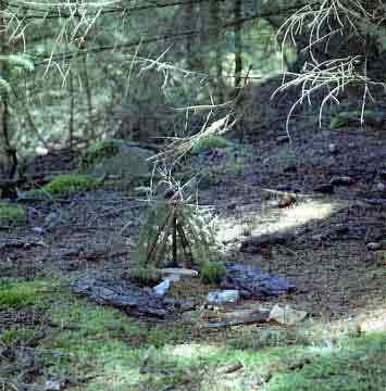 Native American influence